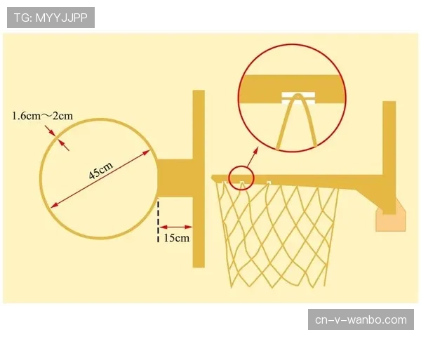 篮球规则解析：连续动作判定的认定要素与标准