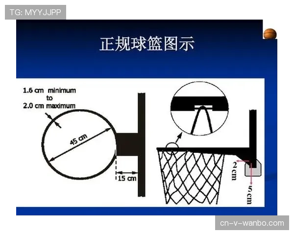 详解篮球比赛中争议球的处理规则与判罚依据